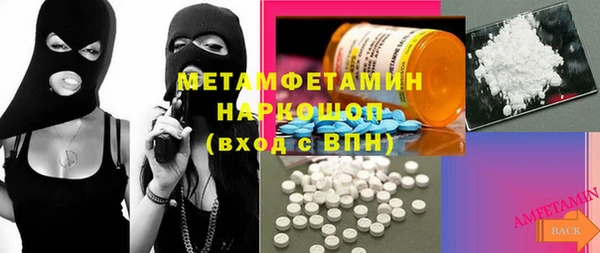 индика Гусь-Хрустальный