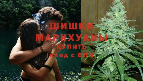 ГАЛЛЮЦИНОГЕННЫЕ ГРИБЫ Алексеевка