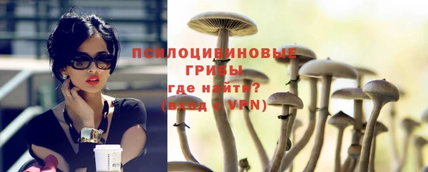 ГАЛЛЮЦИНОГЕННЫЕ ГРИБЫ Алексеевка
