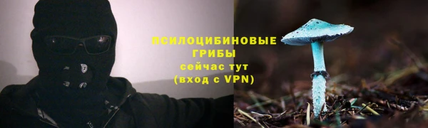 ГАЛЛЮЦИНОГЕННЫЕ ГРИБЫ Алексеевка
