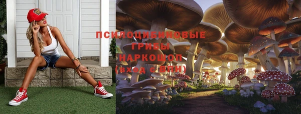 ГАЛЛЮЦИНОГЕННЫЕ ГРИБЫ Алексеевка